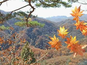 嘉峪关保胎误吃打胎药（不小心吃了保胎药）